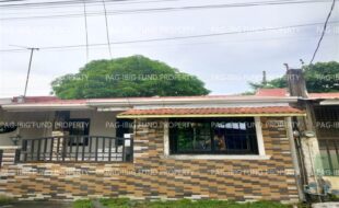 fil1520260120403