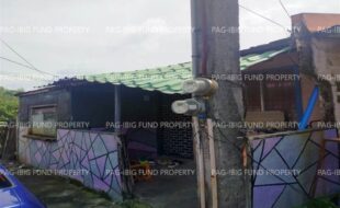 fil1520260120406