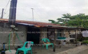 fil1520260120419