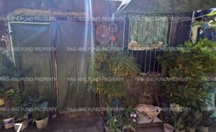 fil1520260130534