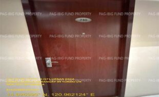 fil1520260212381