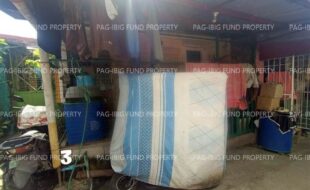 fil1520260226606