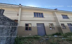 fil1520260406422