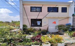 fil1520260407214