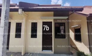 fil1520260408079