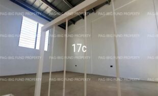 fil1520260408213