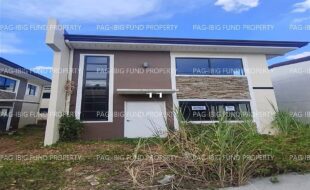 fil1520260505184