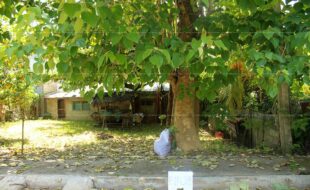fil3420190913008