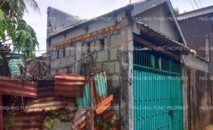 fil3420240923004