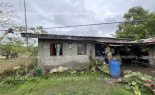 fil3420241226003