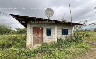 fil3420241226008