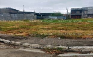 fil3420250403018