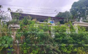 fil3420250529003