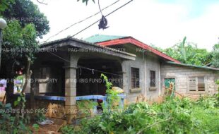 fil3420250827001