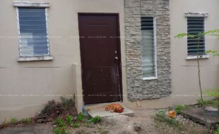 fil4020190124008