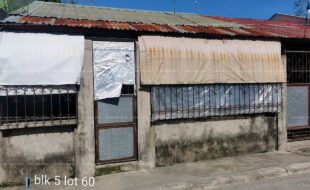 fil4020201017026