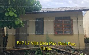 fil4020210813007