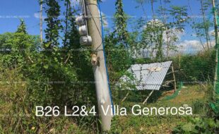 fil4020211002036