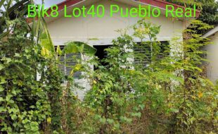 fil4020220214015