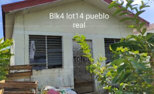 fil4020220215003