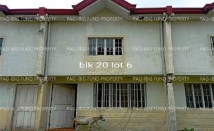 fil4020220822017