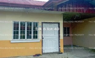 fil4020220823010