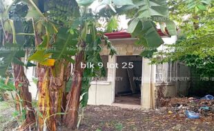 fil4020220823014