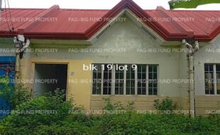 fil4020220823016