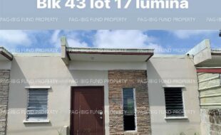 fil4020220831013