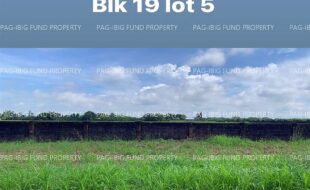 fil4020220831015