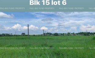 fil4020220831024