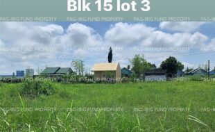 fil4020220831029