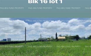 fil4020220831031