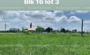 fil4020220831032