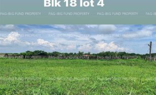 fil4020220831038
