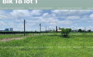 fil4020220831039