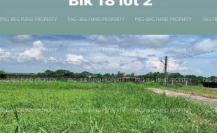 fil4020220831041