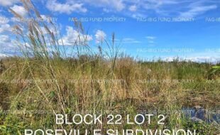 fil4020221007040