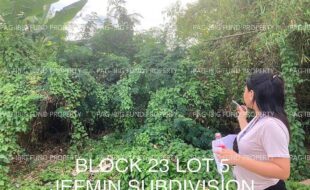 fil4020230128074