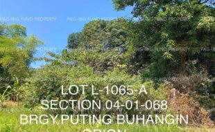 fil4020230220028
