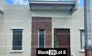 fil4020230311021