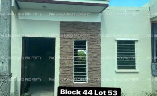 fil4020230311025