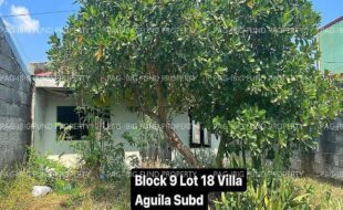 fil4020230403015