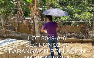 fil4020230403019