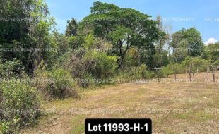 fil4020230418024