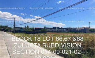 fil4020230506005