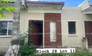 fil4020230907006