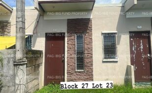 fil4020230907008