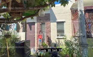 fil4020231205005