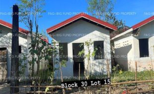 fil4020231205010